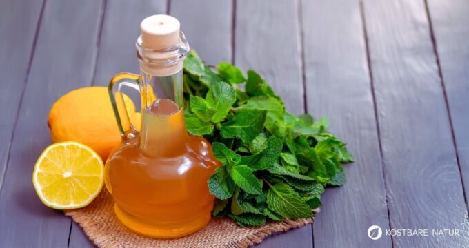 Pfefferminzsirup macht frische Minze aus dem Garten haltbar und bringt ihr Aroma in Wasser, Desserts und sommerliche Getränke.