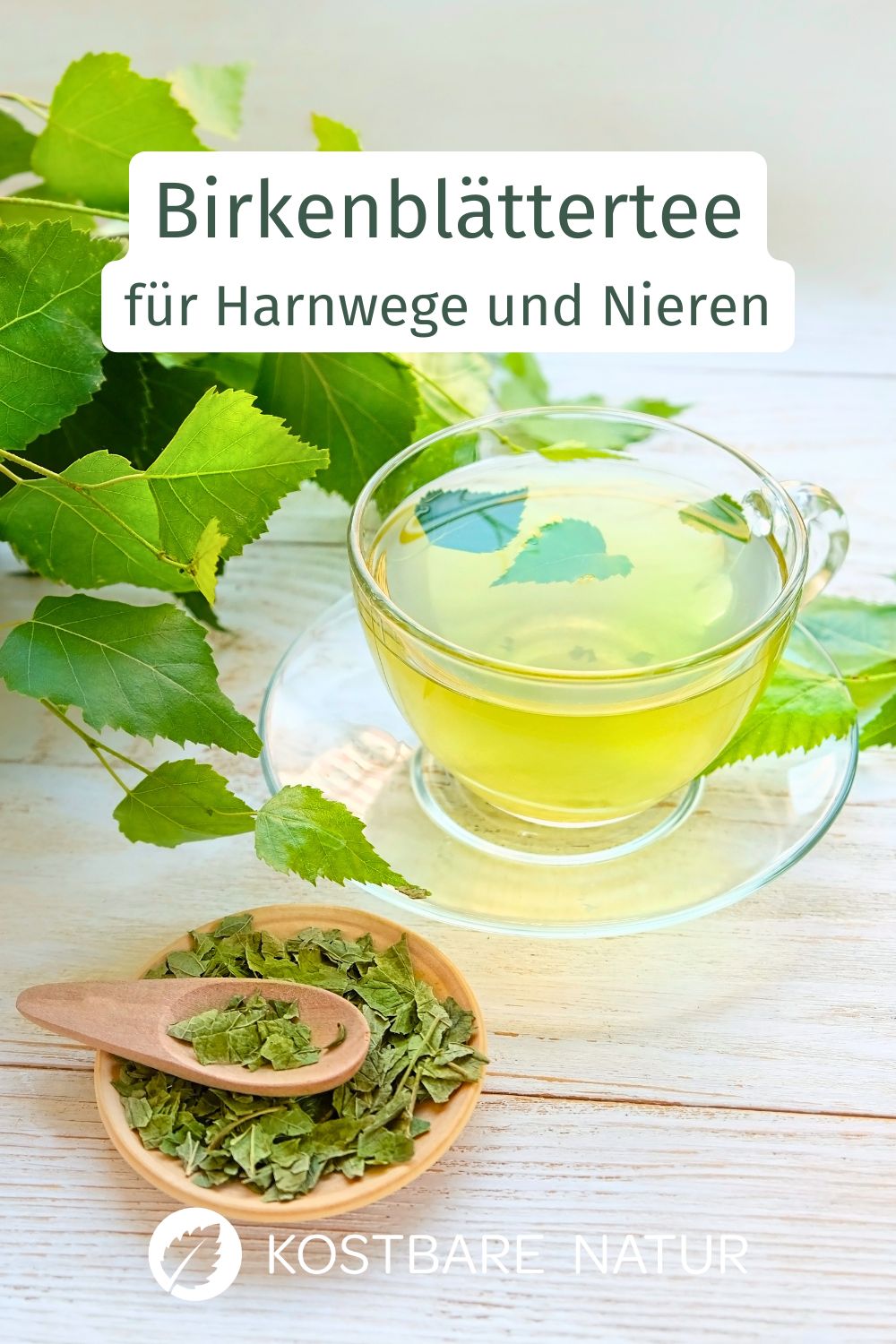 Birkenblättertee nutzt junge Birkenblätter und lässt sich einfach selbst zubereiten. Ein traditioneller Wildkräutertee für Harnwege und Nieren.