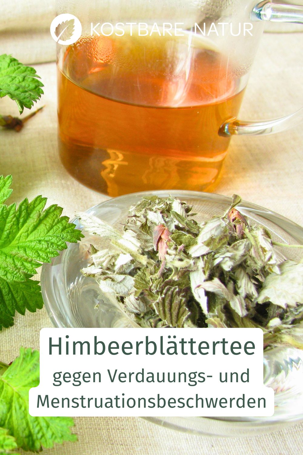 Himbeerblättertee lässt sich einfach selbst zubereiten und wird traditionell zur Unterstützung des Wohlbefindens genutzt.