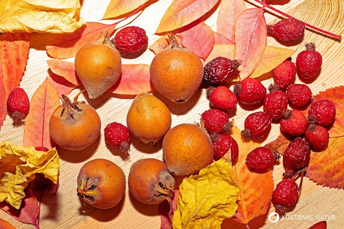 Wintermarmelade Rezept