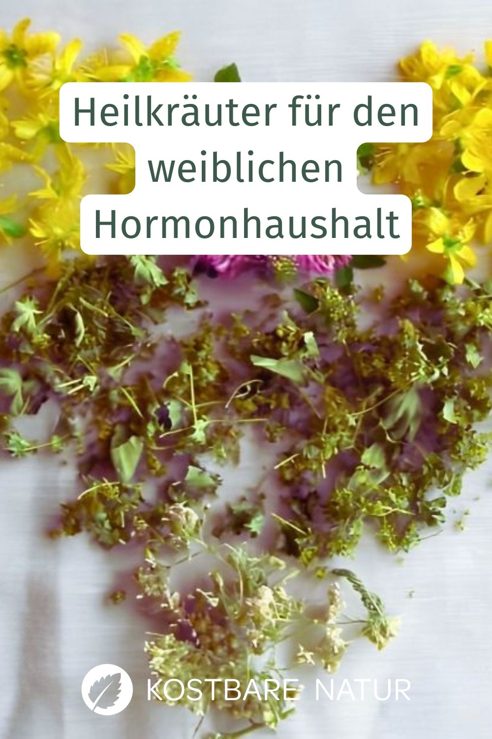 Wie die Heilkräuter für Frauen Rotklee, Mönchspfeffer & Co. deinen Hormonhaushalt balancieren. Heilwirkungen und Rezepte.