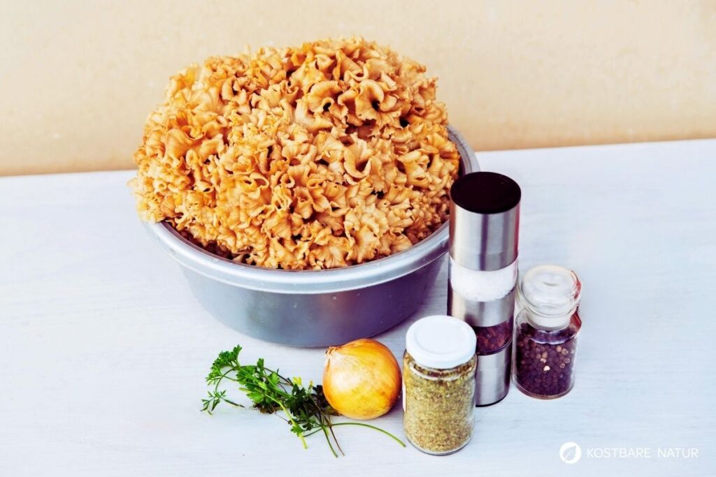 Lust auf ein cremiges Krause-Glucke-Rezept? Entdecke, wie du die Fette Henne richtig putzt und mit Pasta in einer köstlichen Rahmsoße zubereitest.
