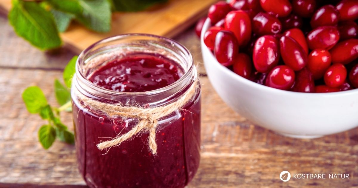 Kornelkirschen-Marmelade lässt sich aus wenigen gesammelten Früchten zubereiten und überzeugt mit ihrem fruchtig-säuerlichen Aroma.
