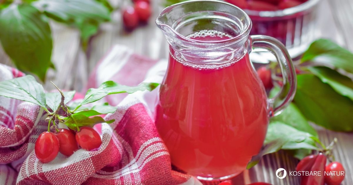Kornelkirschen-Sirup macht die säuerliche Wildfrucht haltbar und verfeinert Getränke, Desserts und Saucen mit fruchtigem Aroma.
