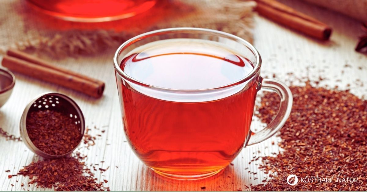 Rooibostee ist koffeinfrei, mild und aromatisch. Er lässt sich heiß oder kalt genießen und passt zu jeder Tageszeit.