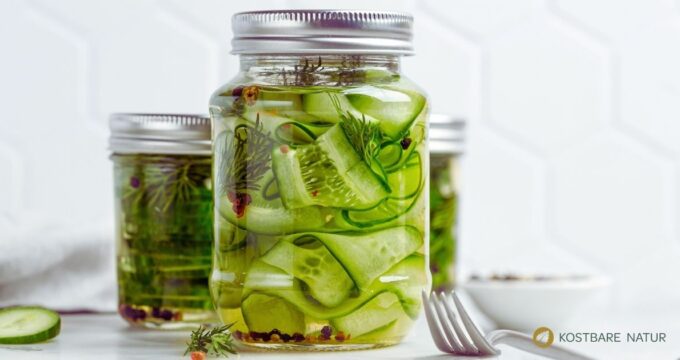 Schüttelgurken mit Dill sind schnell gemacht und schon nach wenigen Stunden aromatisch. Das Rezept kommt ohne Einkochen und langen Sud aus.