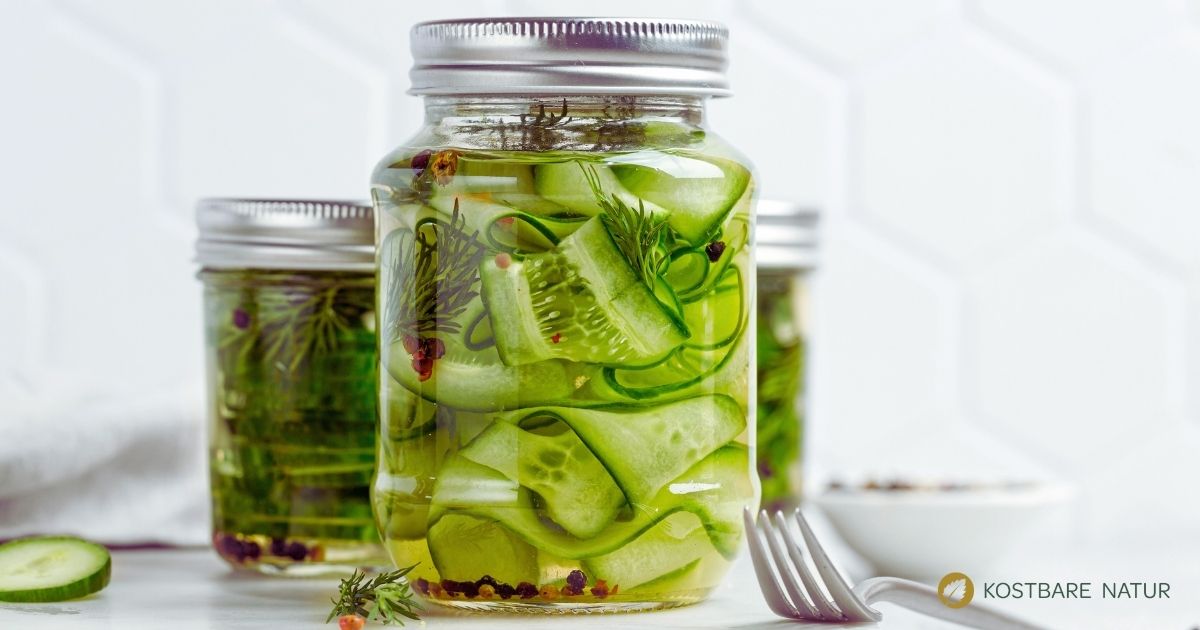 Schüttelgurken mit Dill sind schnell gemacht und schon nach wenigen Stunden aromatisch. Das Rezept kommt ohne Einkochen und langen Sud aus.