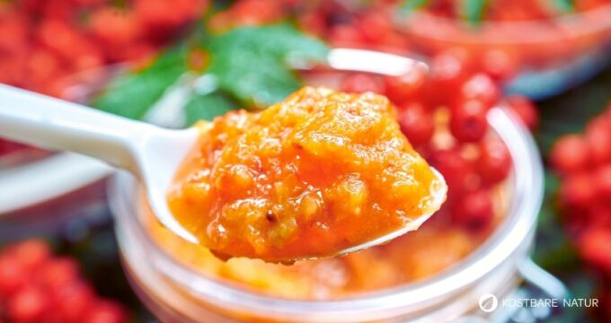 Die Beeren der Eberesche sind nicht für Vögel gesund. Verwerte die Vitamin-C-haltigen Vogelbeeren z.B. in dieser herben Soße für deftige Gerichte.