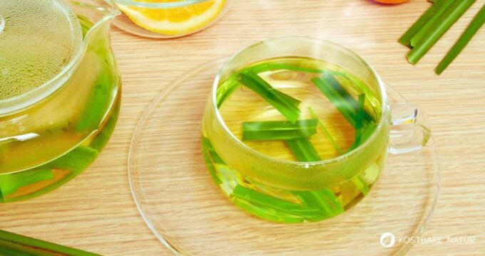 Zitronengrastee schmeckt frisch und zitronig. Der aromatische Tee lässt sich aus frischen oder getrockneten Halmen einfach zubereiten.