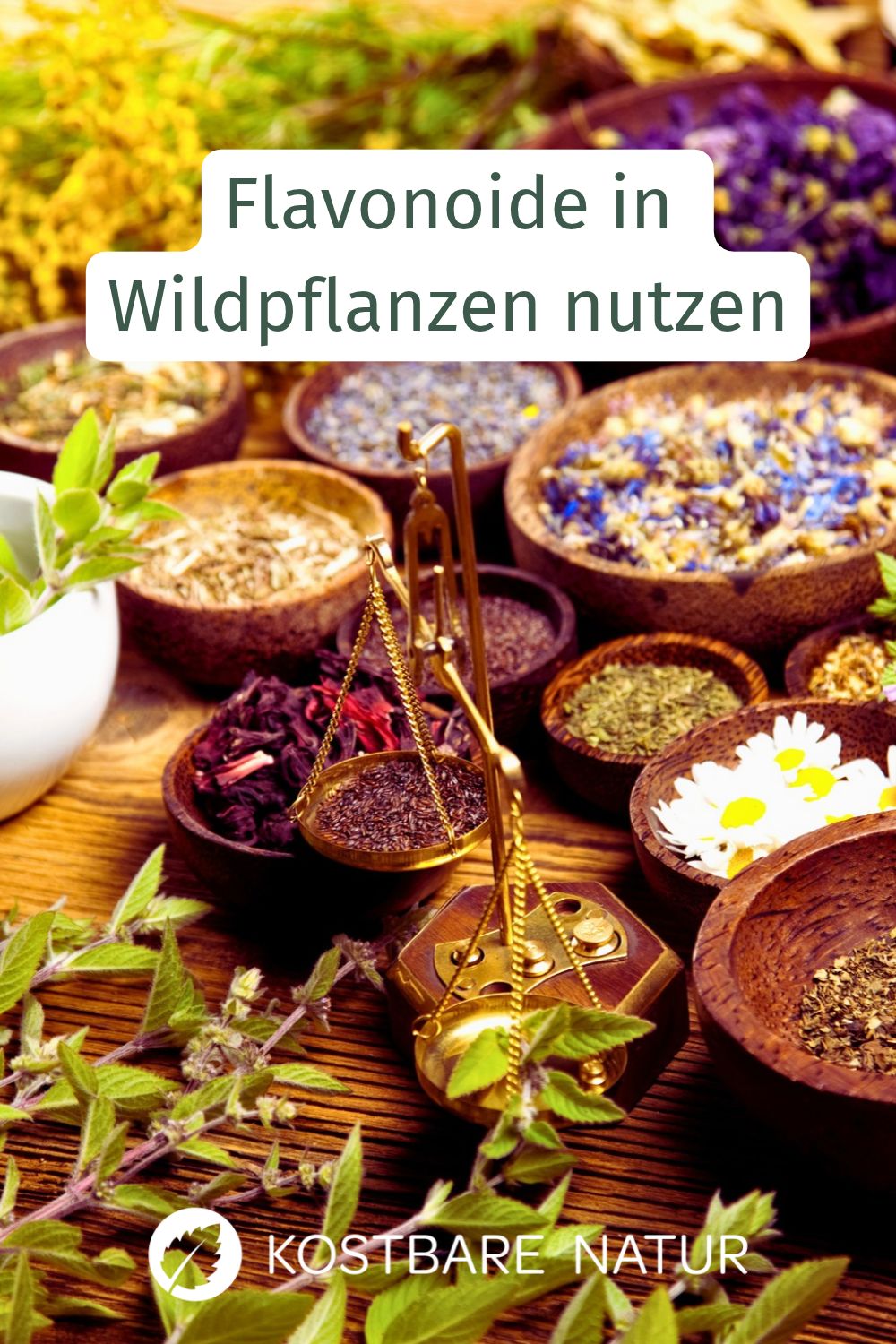 Flavonoide schützen deine Zellen. Erfahre, welche Wildkräuter besonders reich daran sind und wie du sie schonend im Alltag zubereitest.