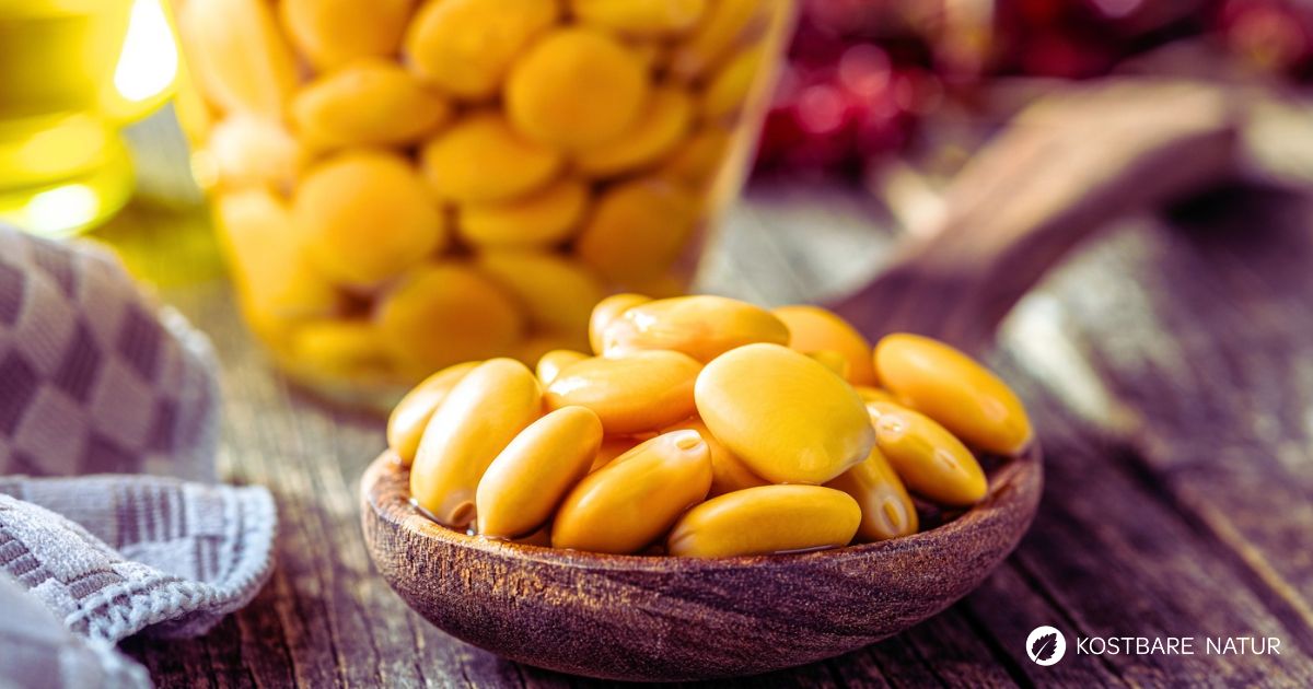 Lupinen-Brotaufstrich selber machen: Entdecke ein einfaches Rezept mit Süßlupinen, wenigen Zutaten und Tipps für leckere Variationen.